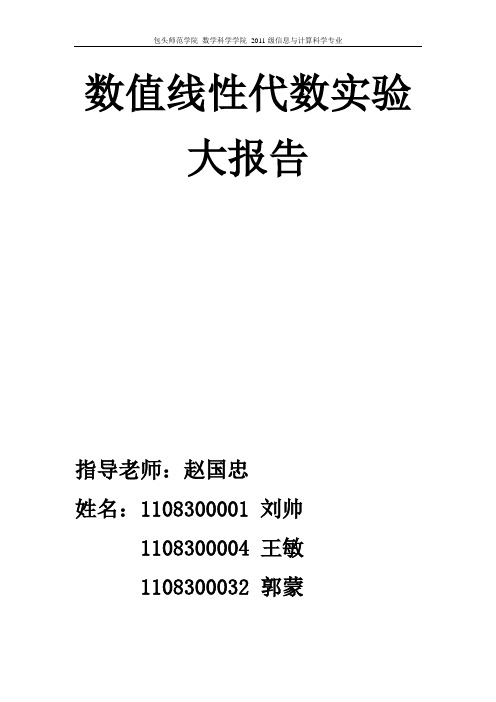 数值线性代数大作业报告