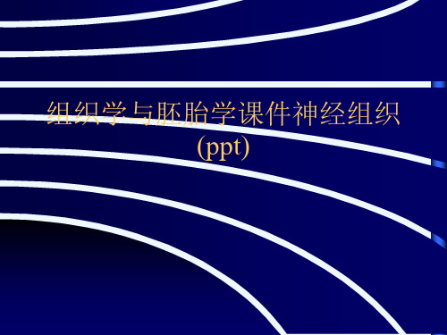 组织学与胚胎学课件神经组织(ppt)