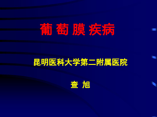 葡萄膜炎疾病(课件讲解2020)