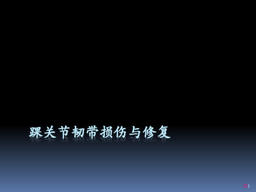 踝关节韧带损伤与修复ppt课件