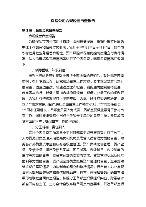 保险公司合规经营自查报告