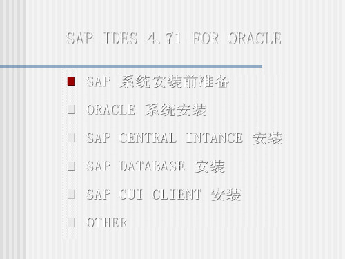 SAP IDES 4.71安装手册