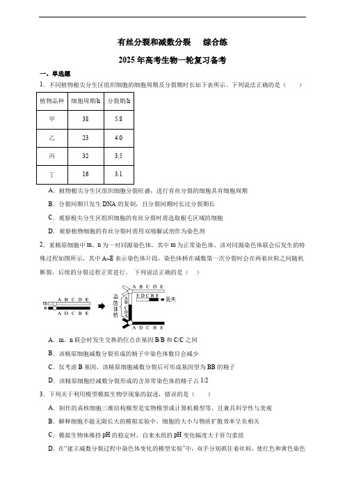 有丝分裂和减数分裂综合练2025年高考生物一轮复习备考(含解析)356