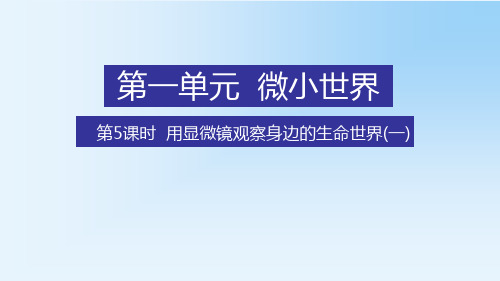 教科版六年级科学下册第一单元微小世界5用显微镜观察身边的生命世界(一)教学课件