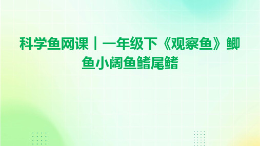 科学鱼网课︱一年级下《观察鱼》鲫鱼小阔鱼鳍尾鳍