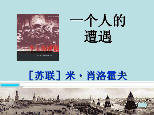 一个人的遭遇ppt课件九