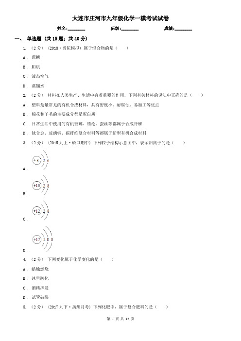 大连市庄河市九年级化学一模考试试卷