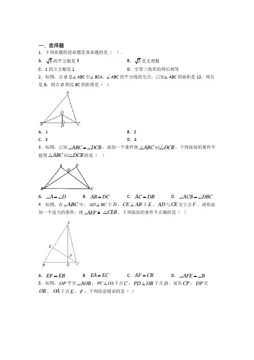 成都市石室外语学校八年级数学上册第十二章《全等三角形》(含答案解析)