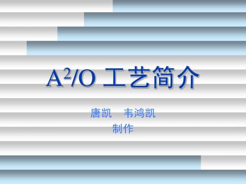 A2O工艺简介