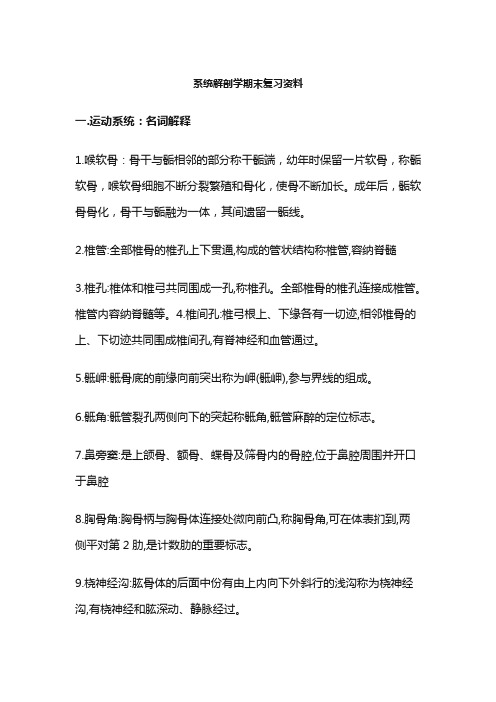 解剖学基础第三版课件