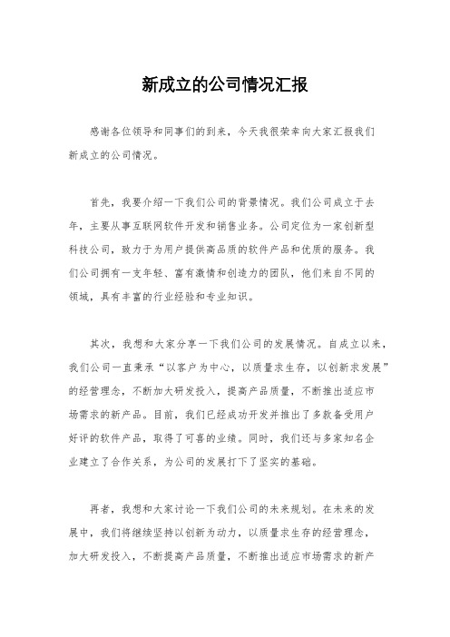 新成立的公司情况汇报