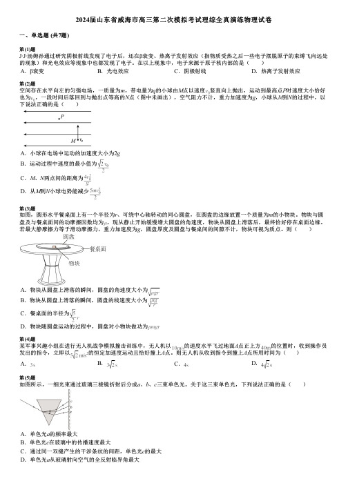 2024届山东省威海市高三第二次模拟考试理综全真演练物理试卷