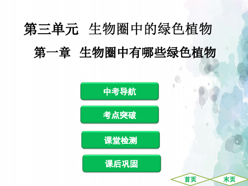 人教版生物-七年级上册-生物复习课件 第三单元 第一章 生物圈中有哪些绿色植物