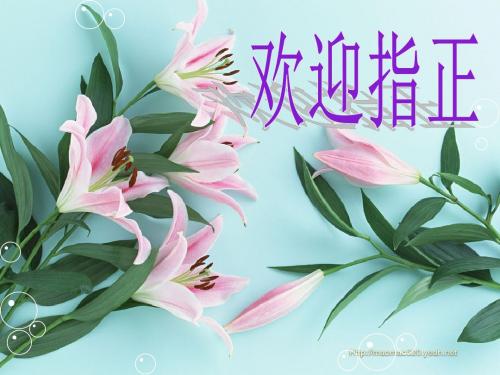 变色龙PPT122 苏教版 (共19张PPT)
