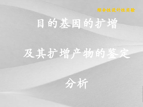 目的基因的PCR扩增及扩增产物鉴定报告资料