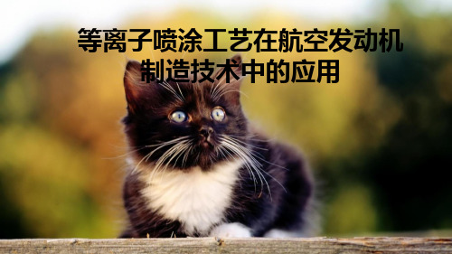 等离子喷涂工艺在航空发动机制造技术中的应用
