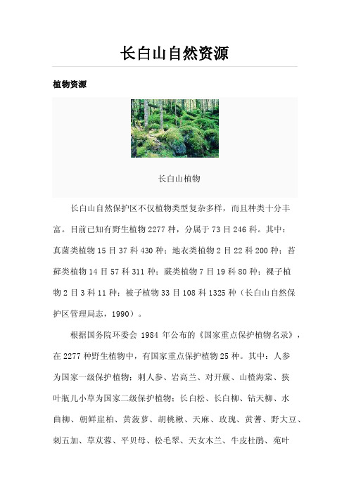 长白山自然资源