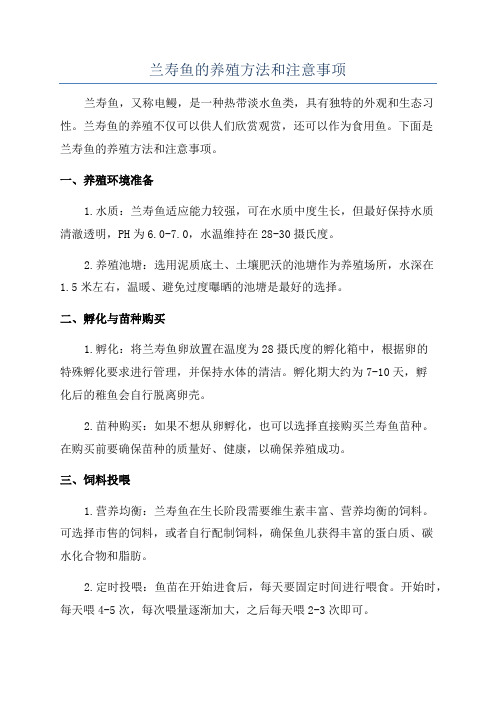 兰寿鱼的养殖方法和注意事项