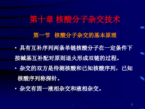 核酸分子杂交技术PPT课件