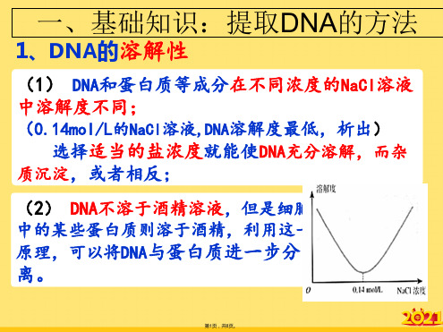 高中生物选修一粗提取与鉴定(“溶液”文档)共8张