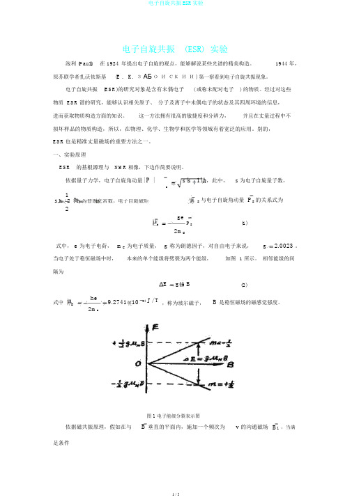 电子自旋共振ESR实验