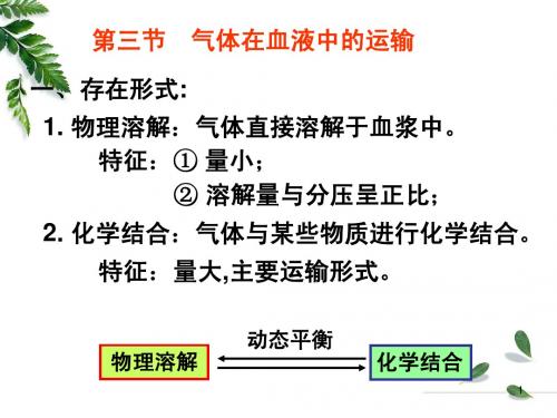 11级药学本科-呼吸2