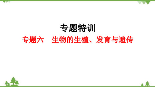 2022年中考生物二轮专题六  生物的生殖、发育与遗传习题 课件(共38张PPT)