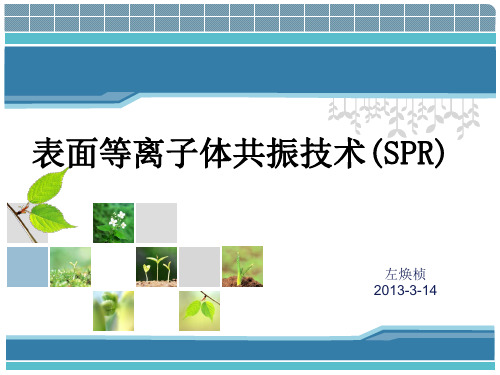 表面等离子共振技术(SPR)