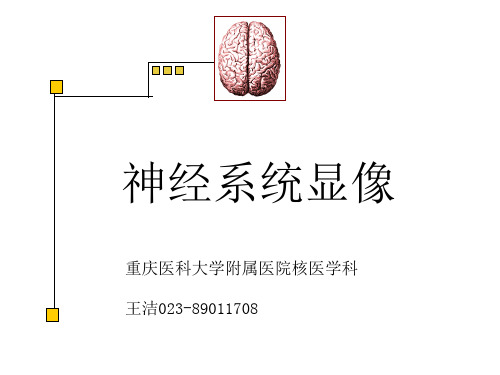 (核医学).脑及脑池显像