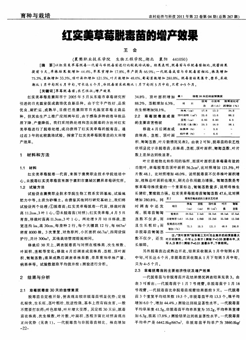 红实美草莓脱毒苗的增产效果