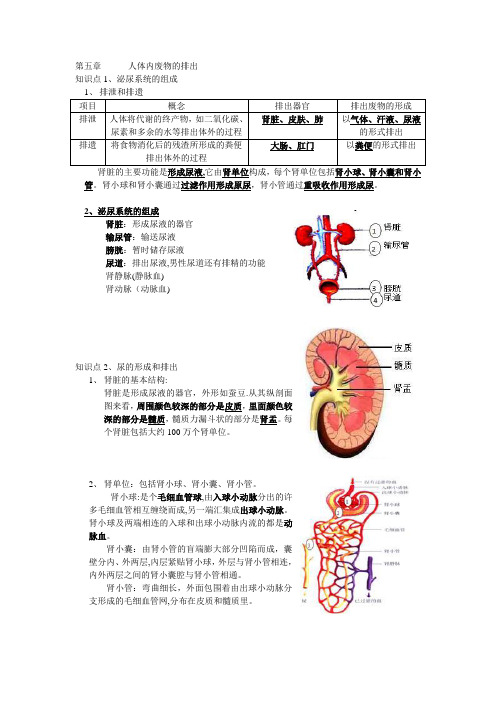 人体内废物的排出知识点提纲