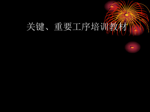 关键、重要工序培训教材