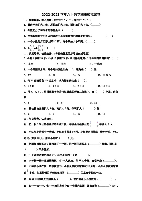 2022-2023学年江西省宜春市袁州区六年级数学第一学期期末质量检测模拟试题含解析