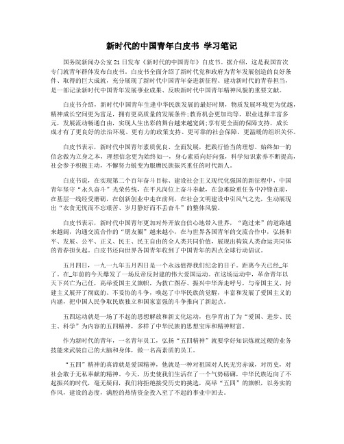 新时代的中国青年白皮书 学习笔记