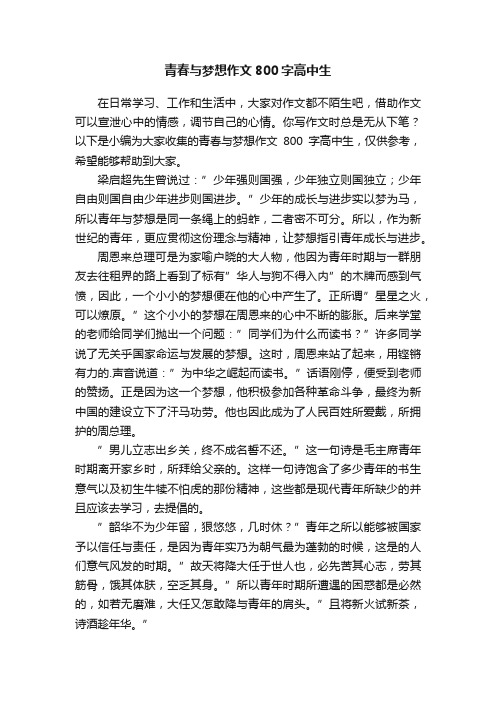 青春与梦想作文800字高中生