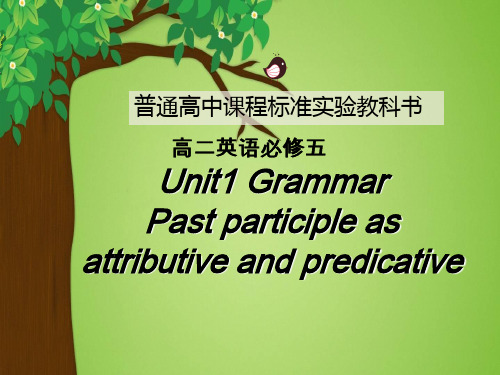 高中英语》人教版(新课程标准)Book 5 Unit5 First aid Grammar 课件(23张PPT)