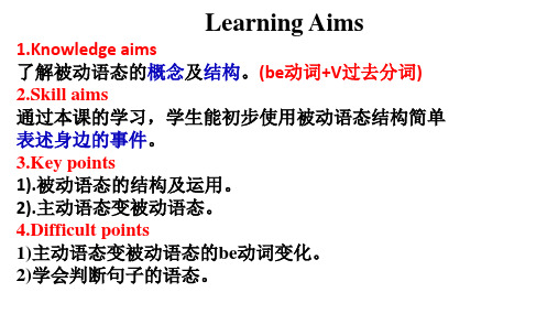 仁爱版九年级英语上期末复习语法 The Passive Voice 教学课件 (共21张PPT)