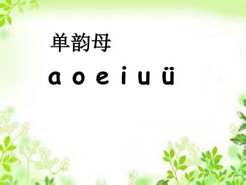 一年级上册语文课件-拼音9.aieiui人教(部编版)(共30张PPT)