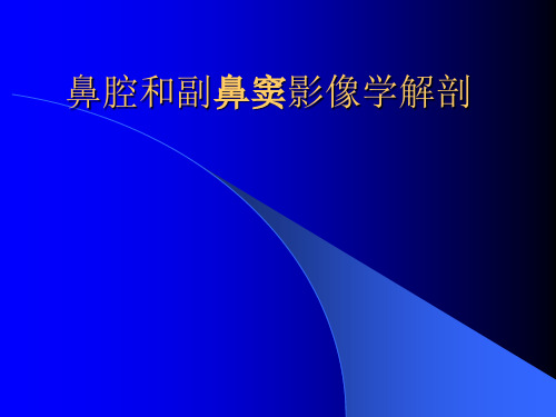 鼻腔和副鼻窦影像学解剖