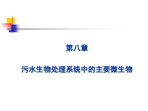 污水生物处理系统中的主要微生物