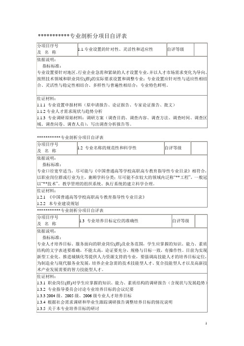 专业剖析分项自评报告 模板