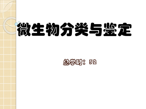 细菌分类学