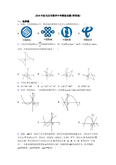 2019年驻马店市数学中考模拟试题(带答案)