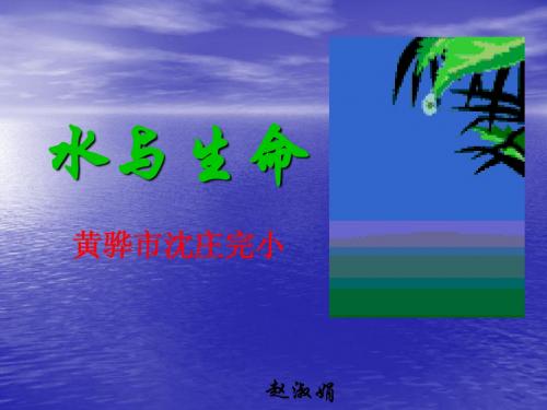 水与生命