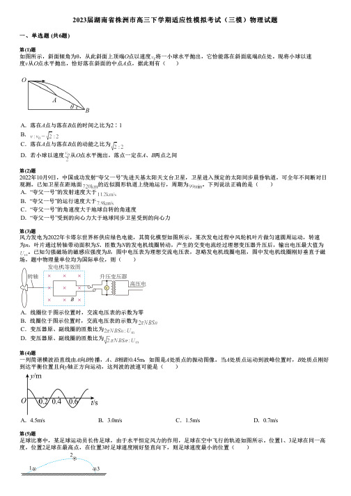 2023届湖南省株洲市高三下学期适应性模拟考试(三模)物理试题