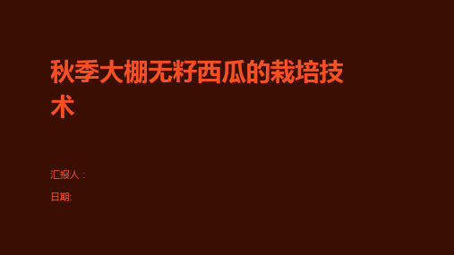 秋季大棚无籽西瓜的栽培技术