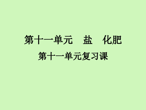 第十一单元复习课-九年级化学人教版下册