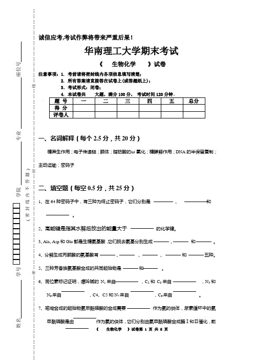 华南理工大学 生物化学期末试卷.doc