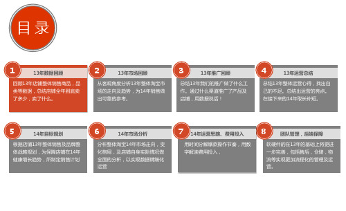 2016年天猫店铺年度销售运营规划及总结方案书