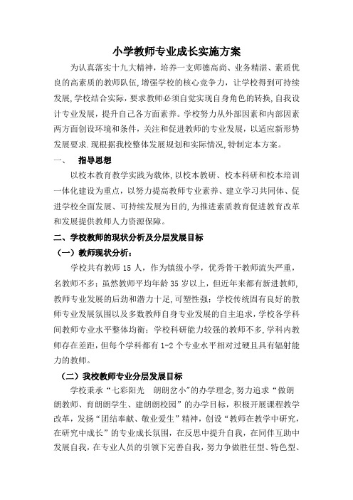 小学教师专业成长实施方案